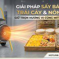 Giải Pháp Sấy Bánh Đa, Trái Cây & Nông Sản Giữ Trọn Hương Vị Cùng Mitsuta EH-30