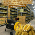 Máy Sấy Nóng Mitsuta ZB-EC15 - Bí Quyết Ủ Sầu Riêng Chín Đều, Cơm Vàng Đẹp Mắt