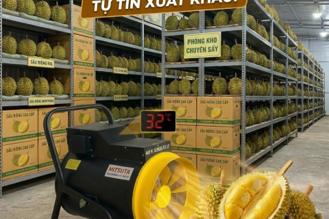 Máy Sấy Nóng Mitsuta ZB-EC15 - Bí Quyết Ủ Sầu Riêng Chín Đều, Cơm Vàng Đẹp Mắt